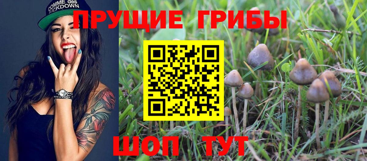 Галлюциногенные грибы мицелий Саратов