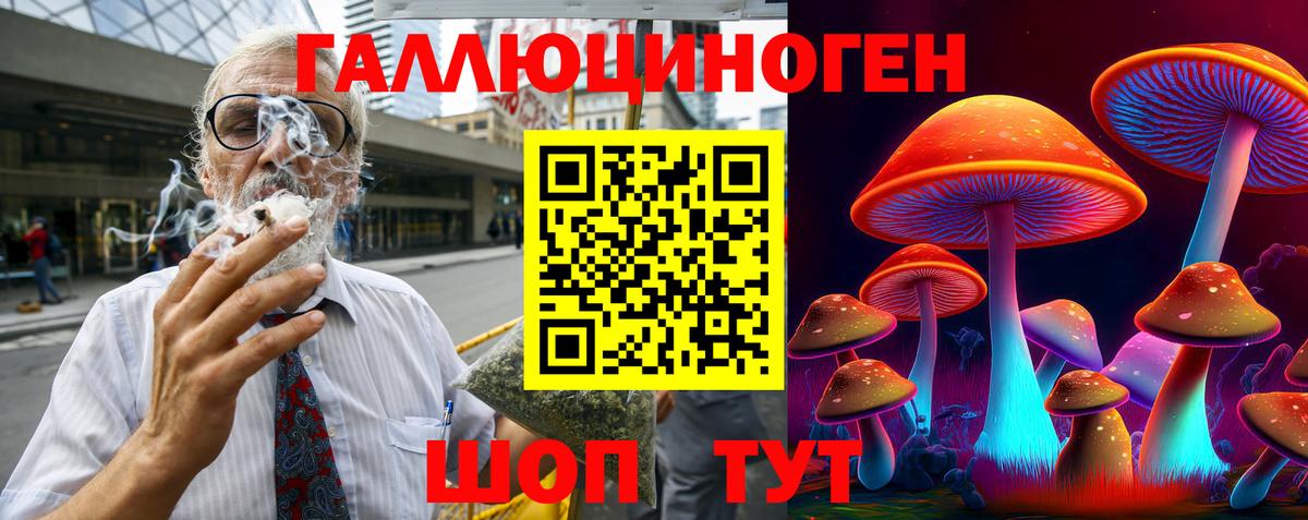 Псилоцибиновые грибы Cubensis  Вход с VPN  Саратов  Галлюциногенные грибы прущие грибы 